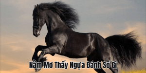 Nằm Mơ Thấy Heo Đánh Số Gì? Giải Mã Con Số May Mắn Chuẩn Xác