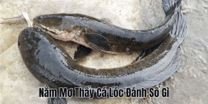 Nằm Mơ Thấy Bắt Lươn Đánh Số Gì? Hé Lộ Con Số May Mắn!