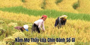 Nằm Mơ Thấy Lửa Đánh Số Gì? Giải Mã Con Số May Mắn Chính Xác