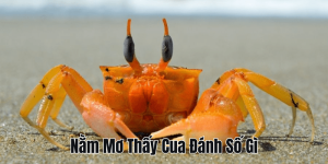 Nằm Mơ Thấy Ốc Đánh Con Số Gì? Giải Mã Chính Xác Nhất 2025